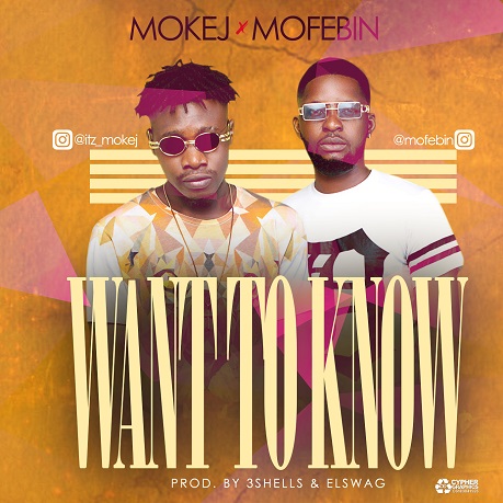 Mokej ft. Mofebin - Want To Know