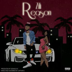 Zilli - Reasons