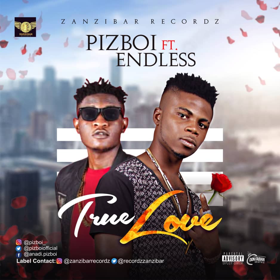 PIZBOI ft EndLess - True Love