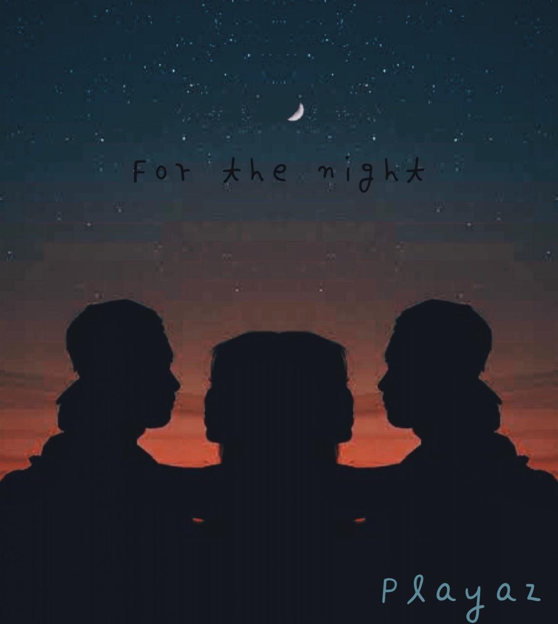 Playaz - For The Night