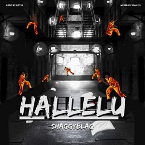 Shaggyblaq – Hallelu