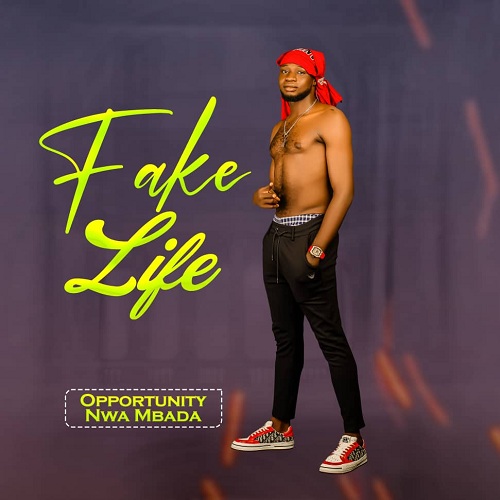 Opportunity Nwa Mbada - Fake Life